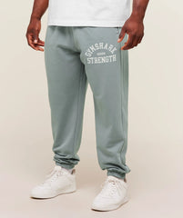 2012 Strength Joggers